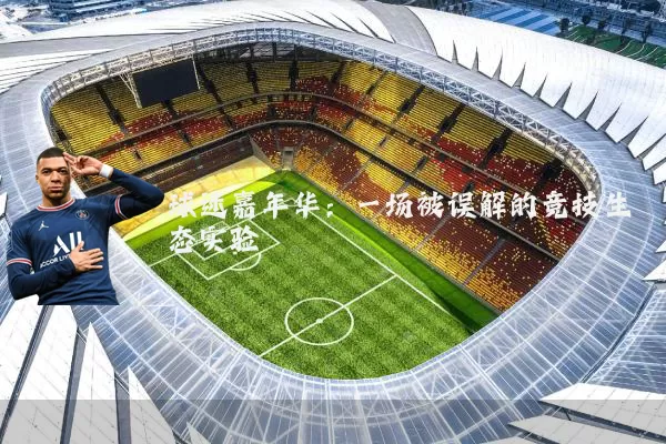 球迷嘉年华：一场被误解的竞技生态实验